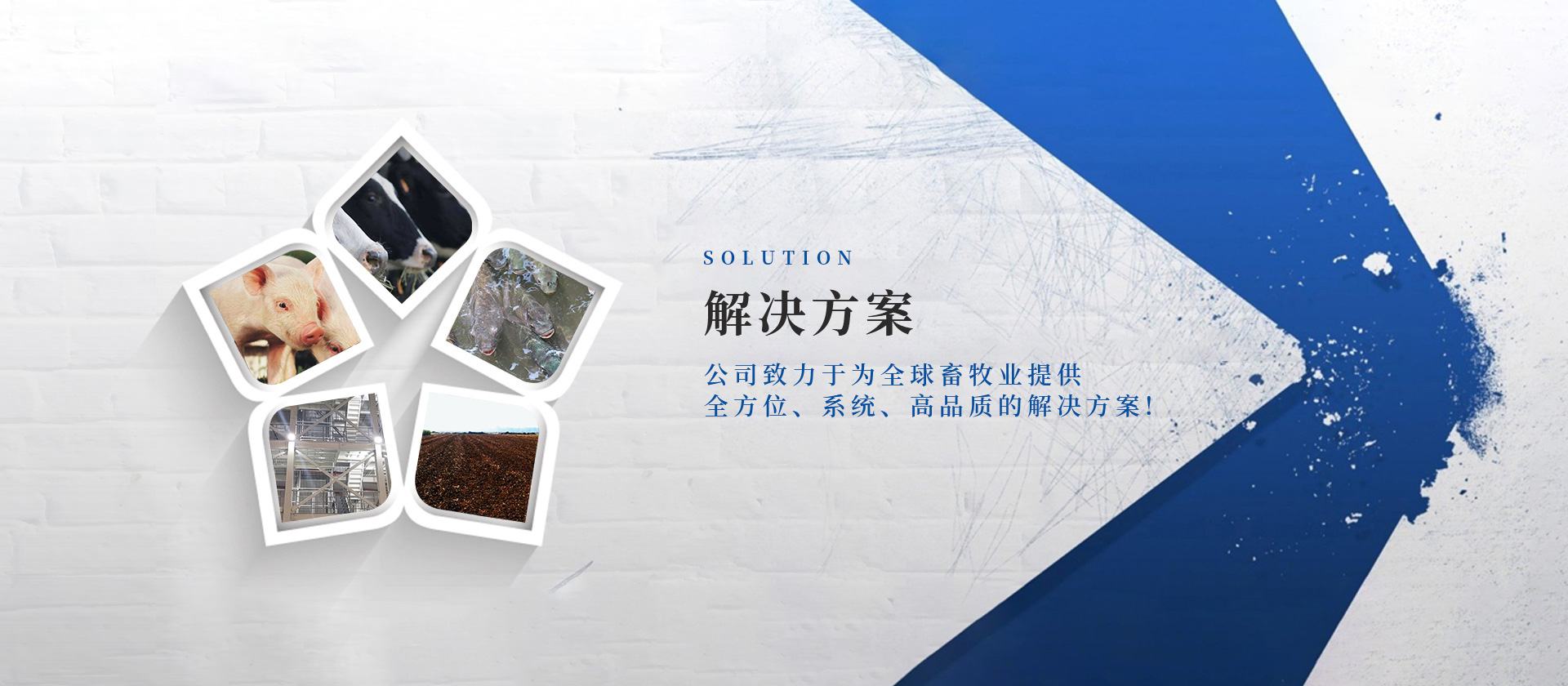 解决方案