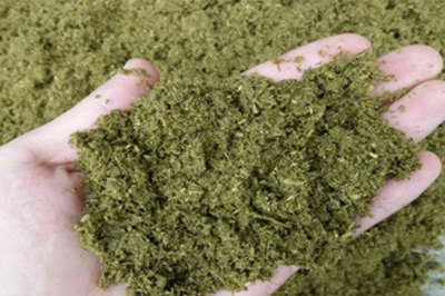 发酵饲料成套工程